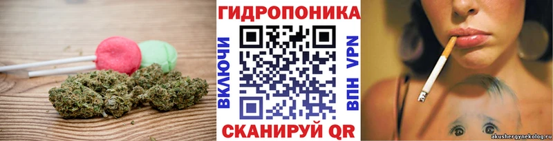 Cannafood марихуана  мориарти состав  Беломорск 
