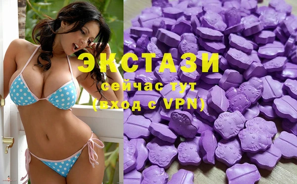 хмурый Абаза